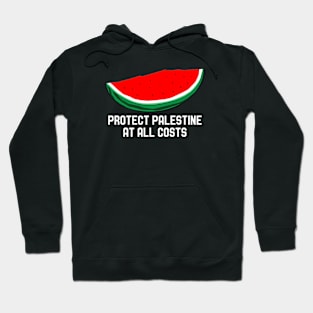 Protect Palestine At All Costs - Fuck Israel Hoodie